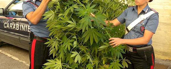 carabinieri-piante-marijuana-coltivate-in-casa