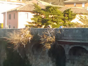 ponte2