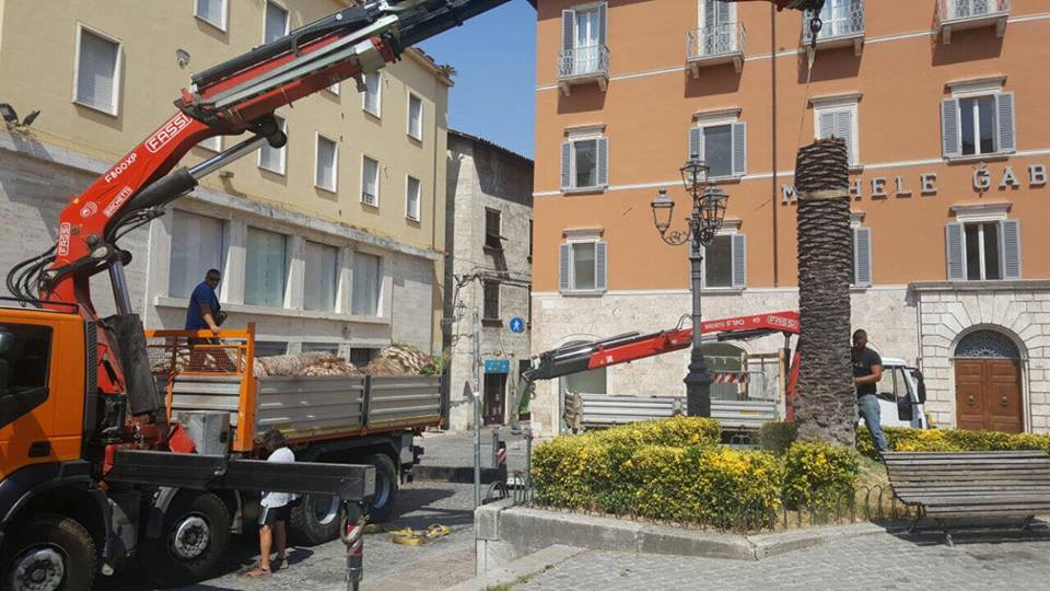 Piazza Roma e lavori sulle palme