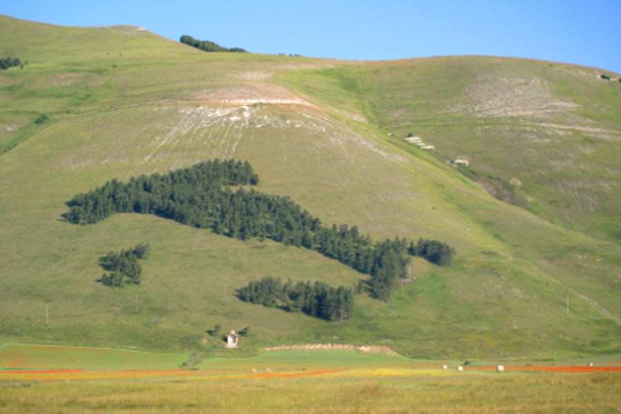 castelluccio-di-norcia-litalia