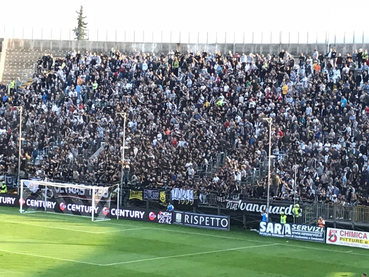 curva sud ascocarpi