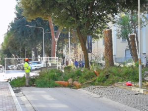 Lavori viale Croce (2)