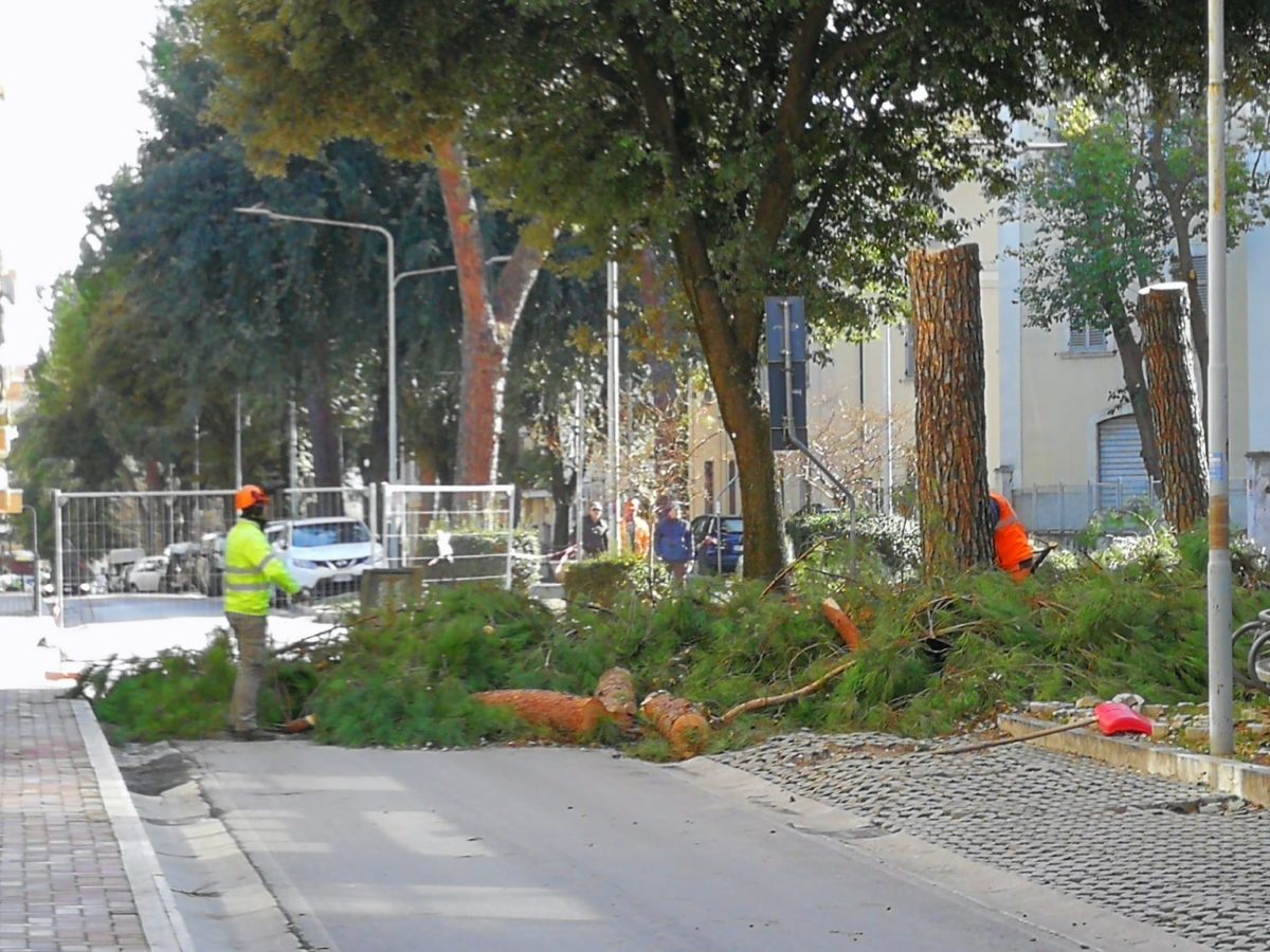 Lavori viale Croce (3)