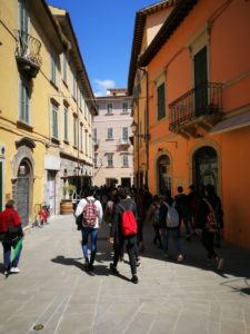 ascoli centro4