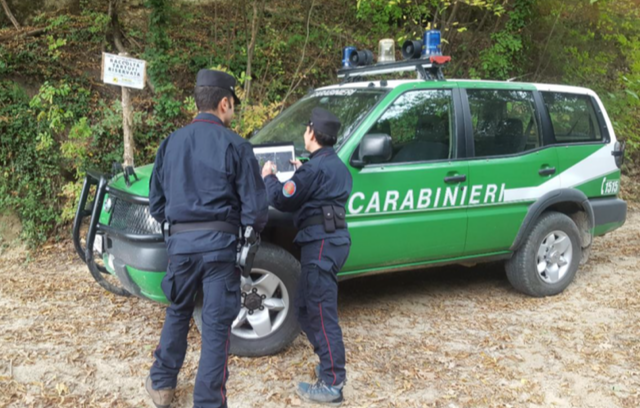 Carabinieri forestali