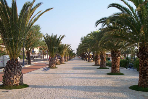san benedetto Le_palme