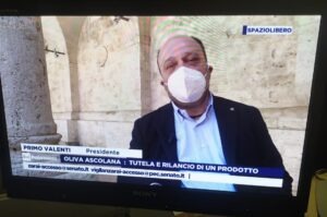 Primo Valenti presidente Consorzio oliva Dop sulla Rai