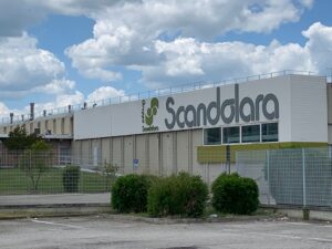 Scandolara