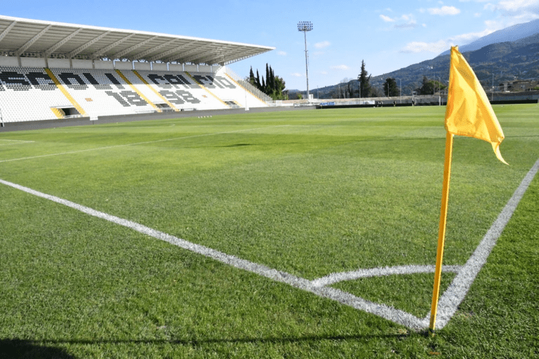 Ascoli terreno gioco