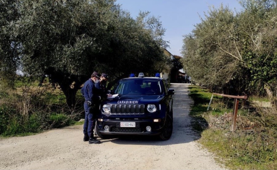 Carabinieri forestali