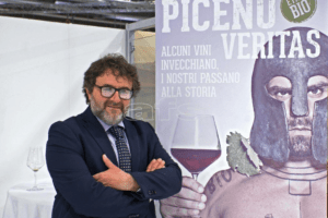 Savini consorzio vini piceni 