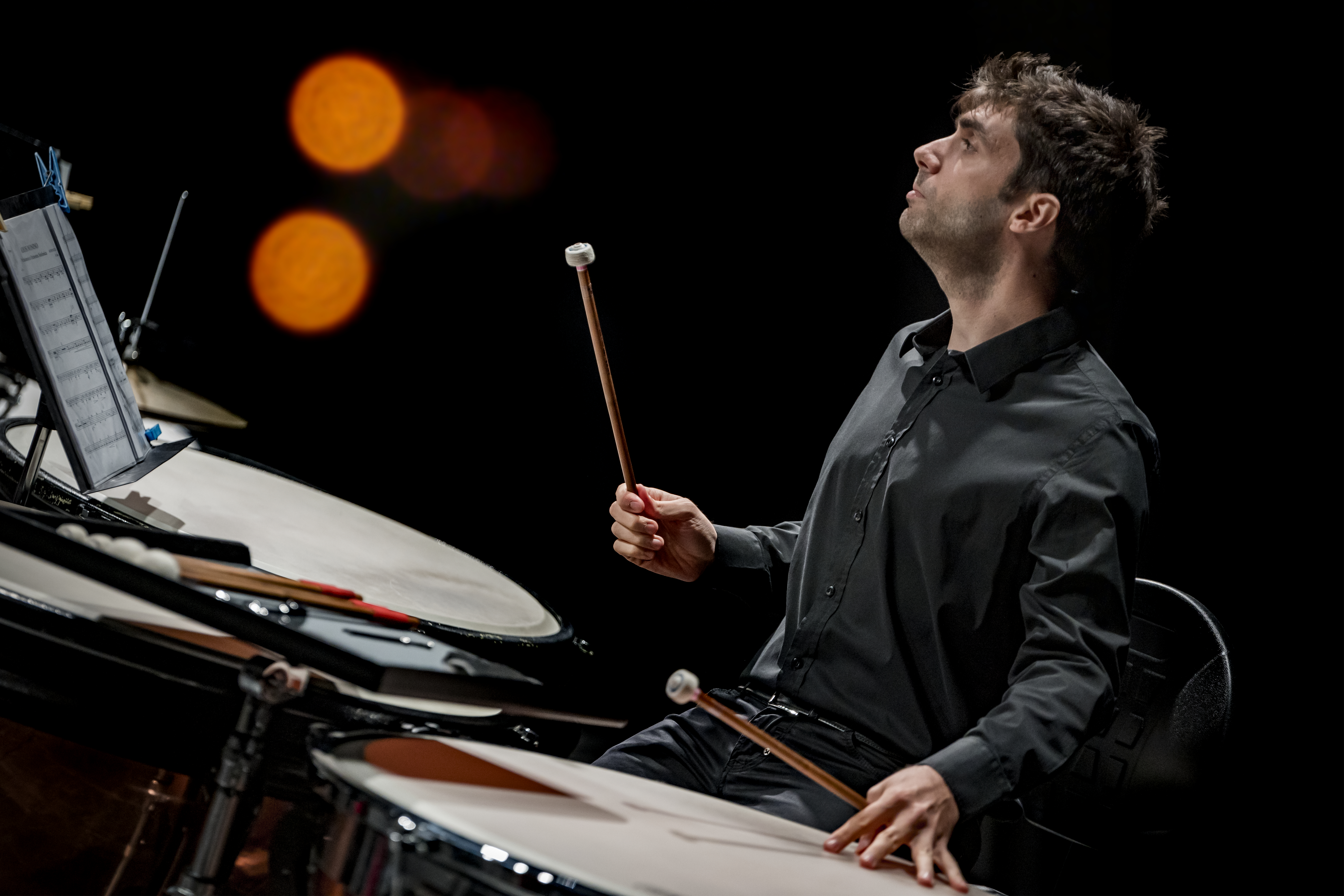 Ludovico Venturini
