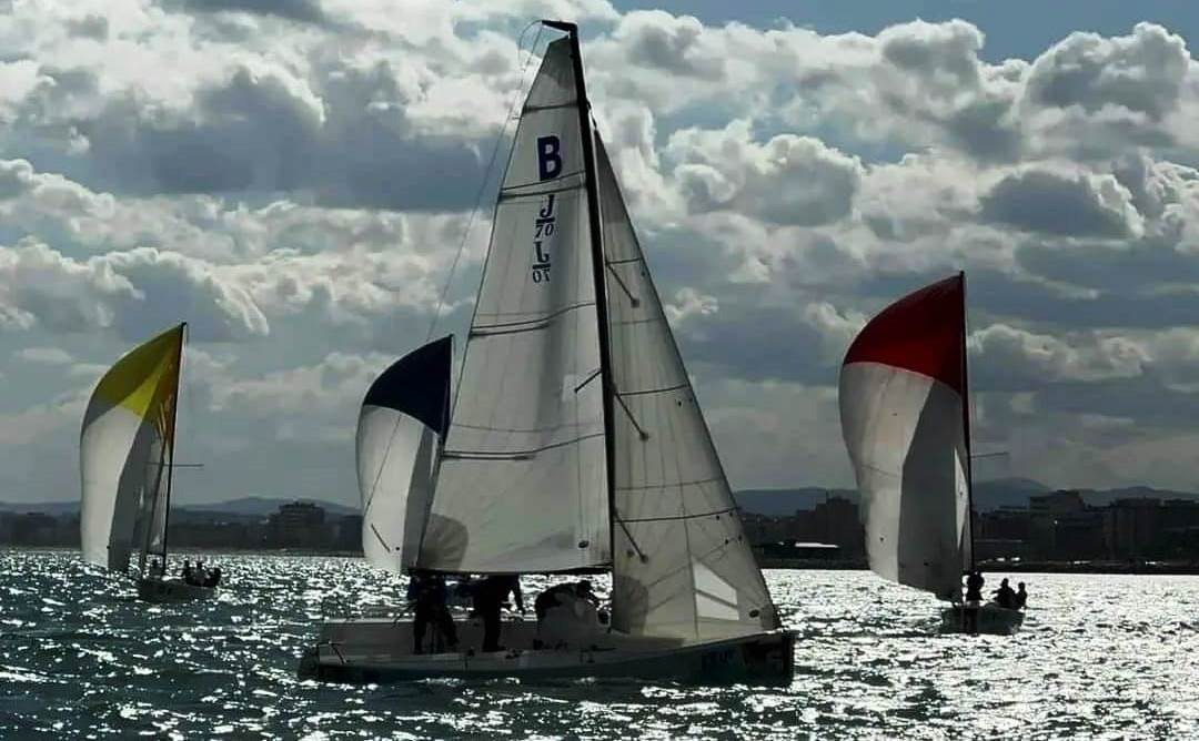 Vela