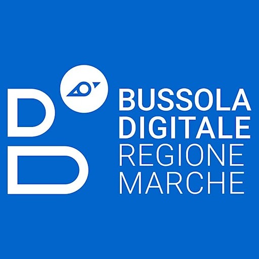 Bussola digitale