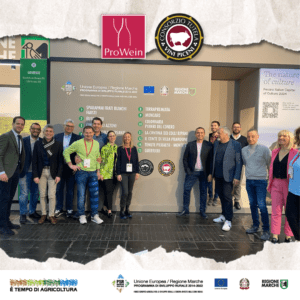 CONSORZIO VINI PICENI (14)