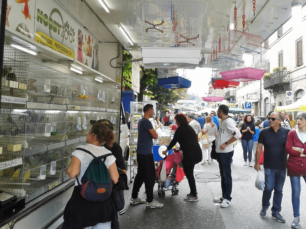 Fiera uccelli comunanza