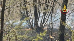 IMG_20250412_172333_401