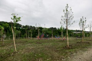 Area Ex Carbon (3)