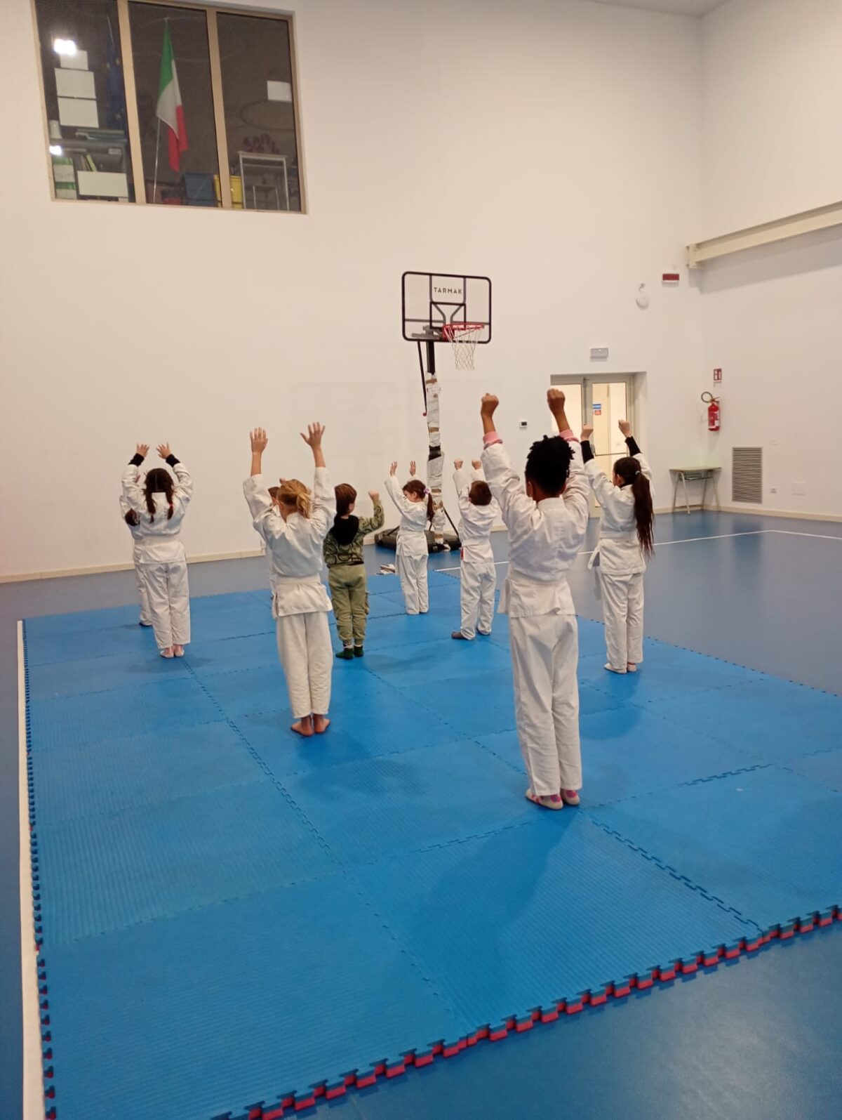 Judo2